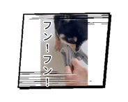 880735972