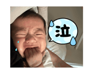 880736035