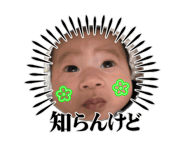 880736040