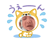 880736070
