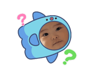 880736081