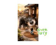 880736105