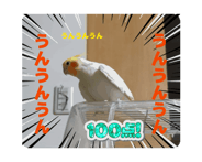 880736153