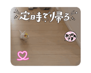880736155