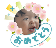880736335