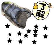 880736850