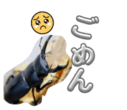 880736851