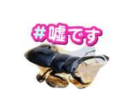 880736856