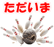 880737305