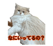 880737346