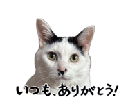 880738501