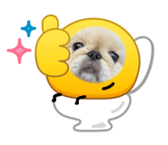 880738625