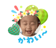 880738667