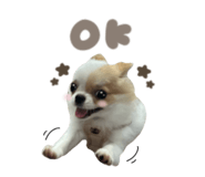 880738730