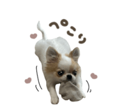 880738731