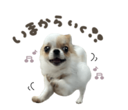 880738737