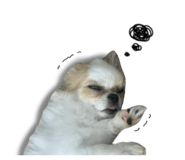 880738742
