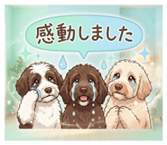 880738925
