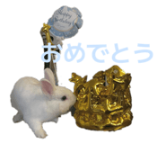 880738946