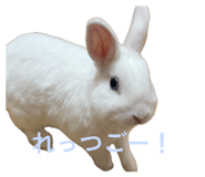 880738950