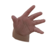 880739088