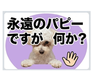 880739298