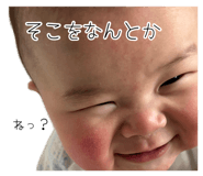880739647