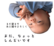 880739656