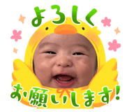 880741113