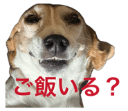 880741345