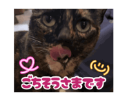 880749994