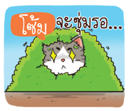 880752553