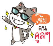880752591