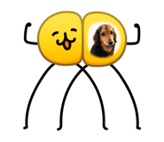 880753740
