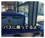 880755651