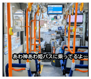 880755653