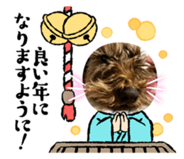 880756035