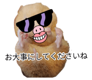 880756315