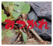 880756320