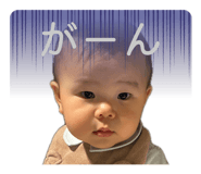880756462