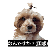 880756762