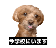 880756763