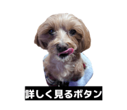 880756764