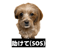 880756765