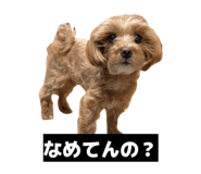 880756771