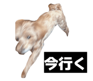 880756772