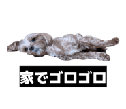 880756775