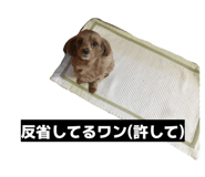 880756776