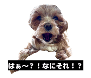 880756780