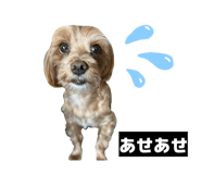 880756781